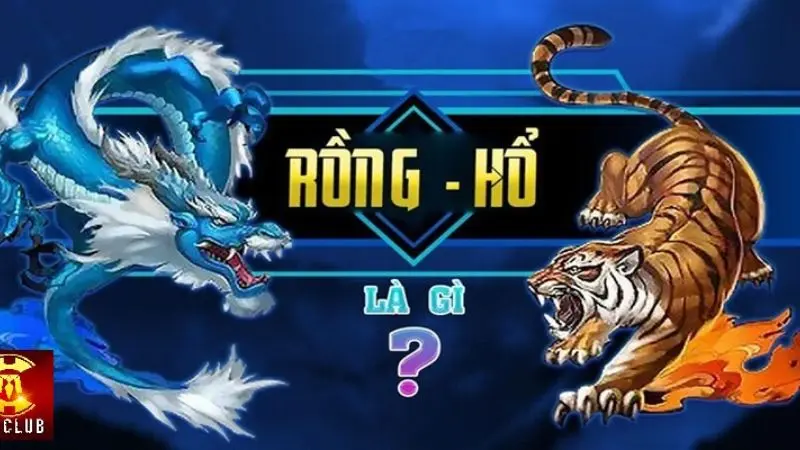 rồng hổ ok9
