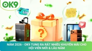 Cập nhật khuyến mãi ok9
